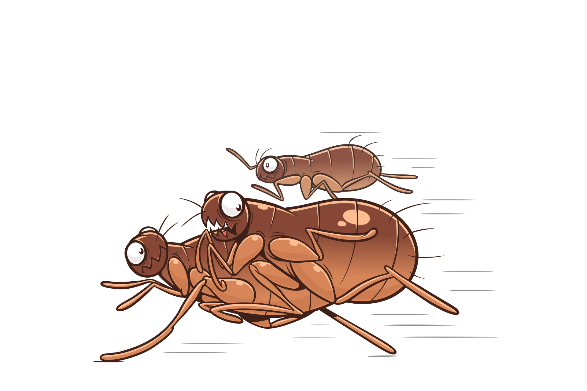 A cartoon illustration of two termites racing each other.