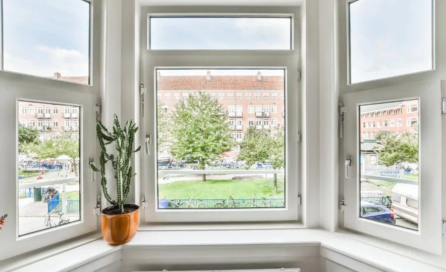 White-framed window with view of green trees, lawn, and buildings. Cactus in orange pot on windowsill.
