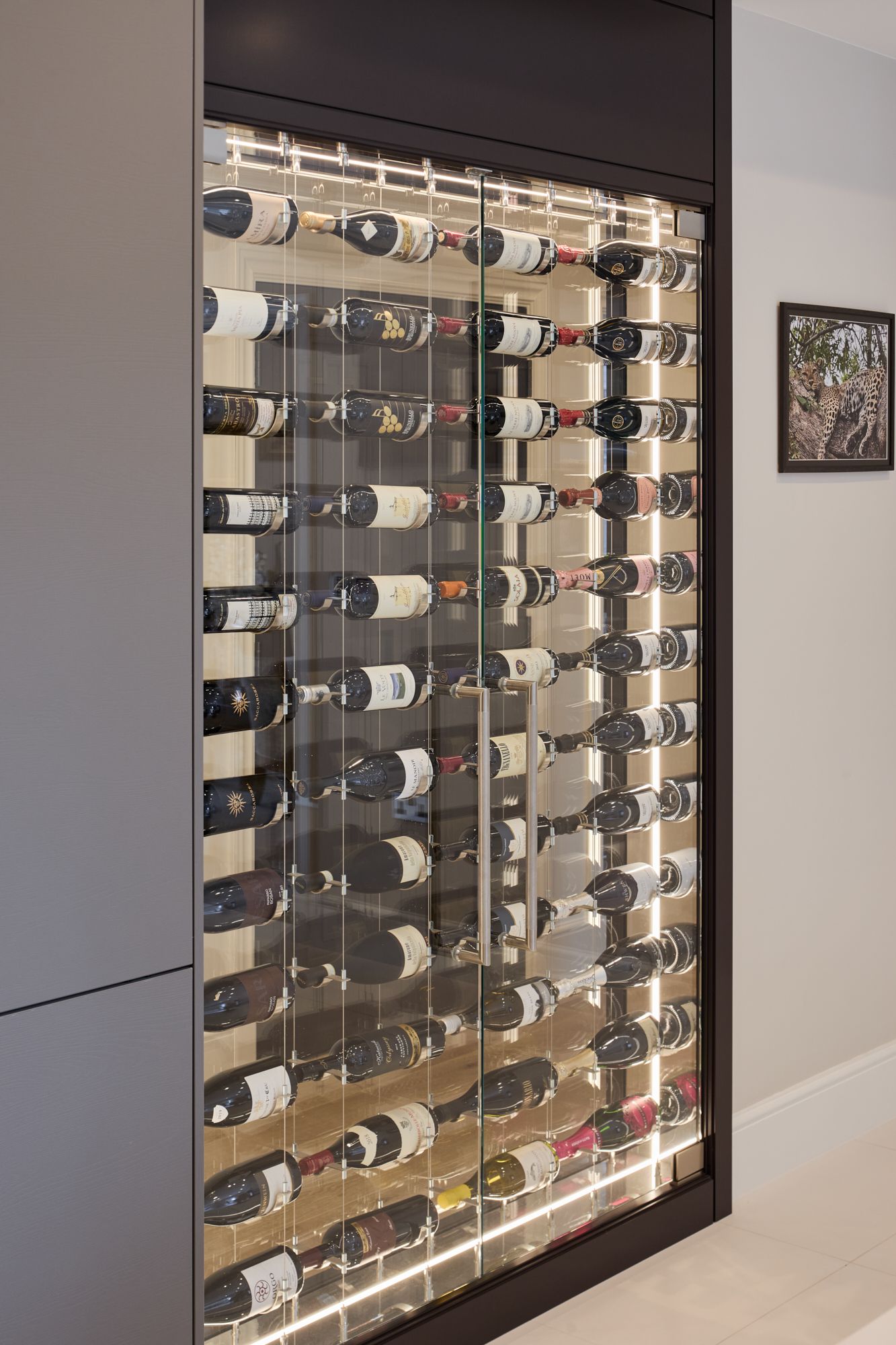 A wine cellar filled with many bottles of wine