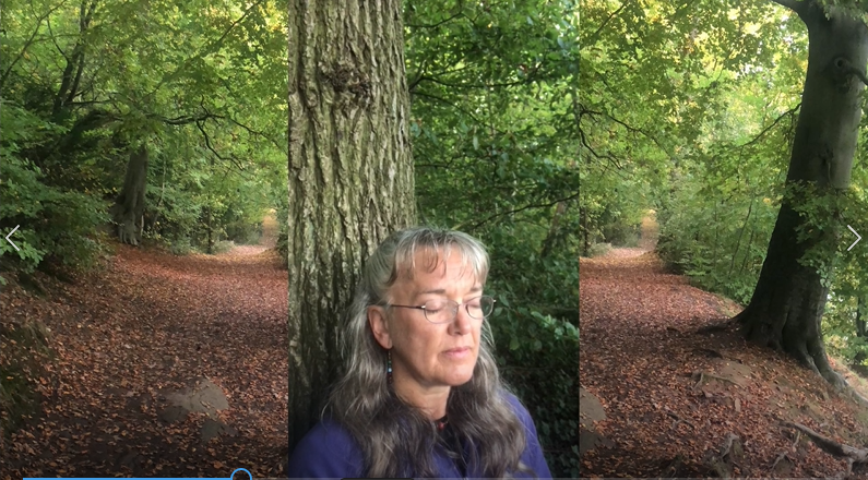 Teresa4Yoga Learn to Meditate in Nature