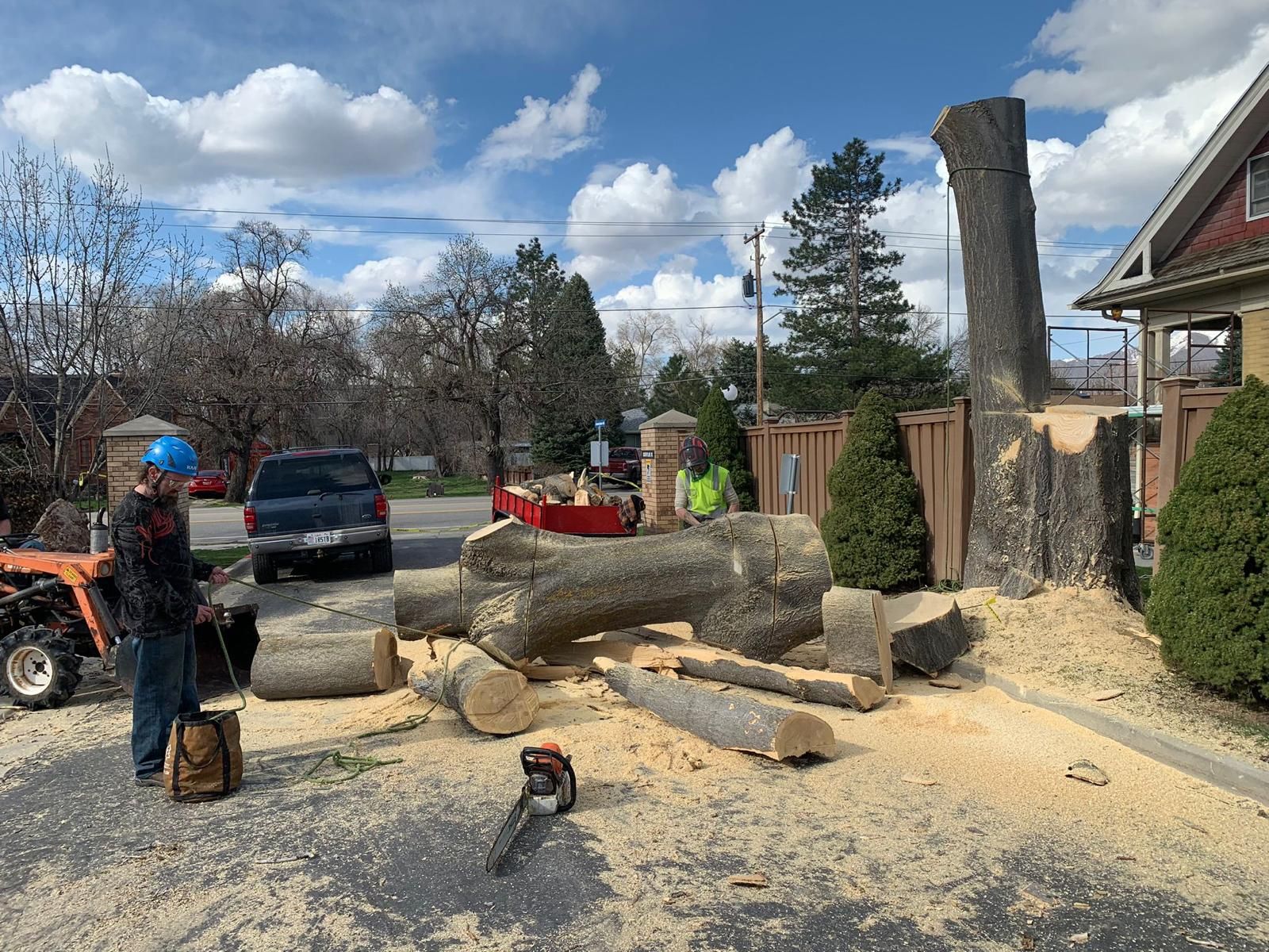 Tree Removal Salt Lake City