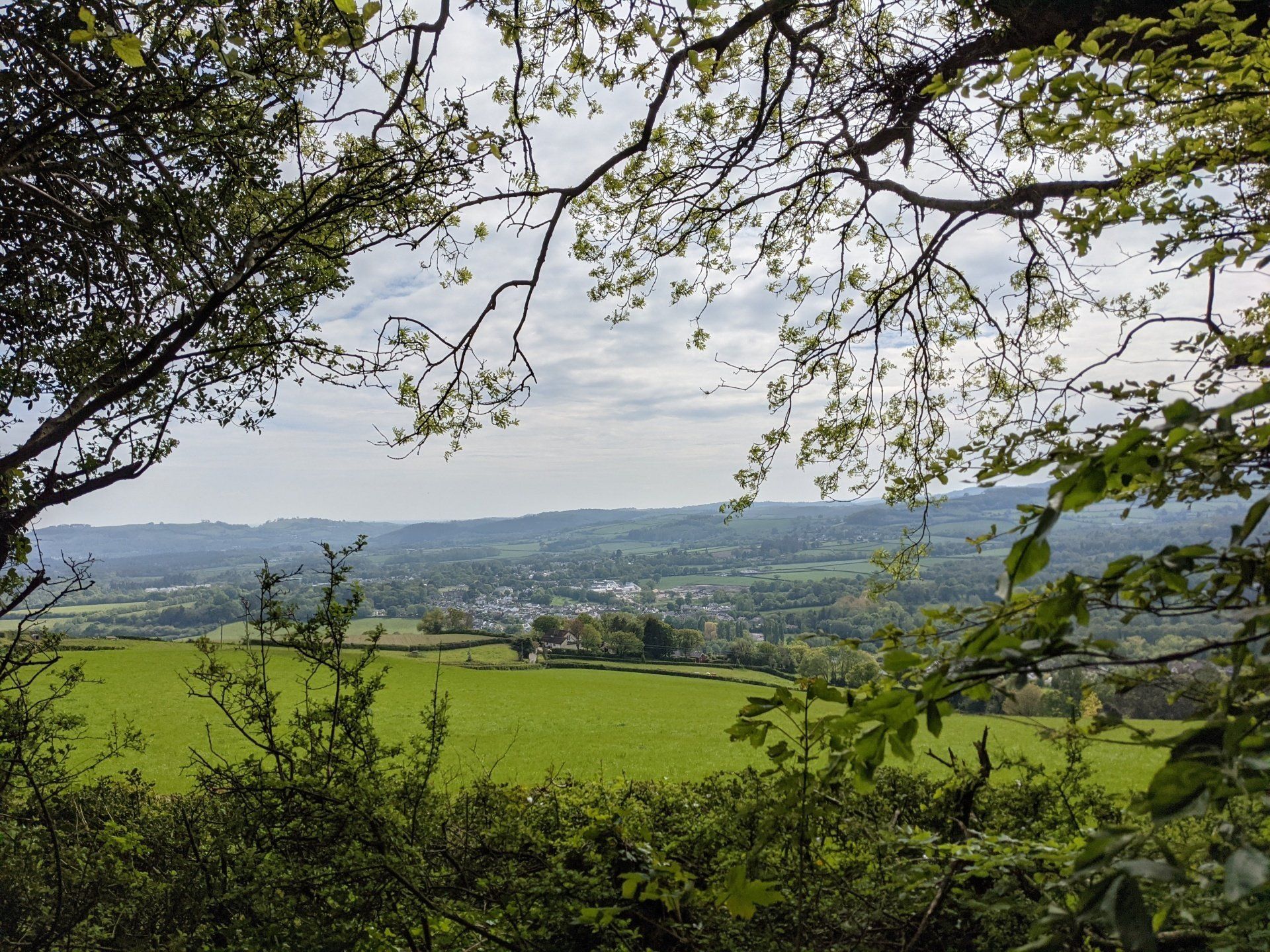 Territory of Kernow (Devon), Community Assembly of the British Isles
