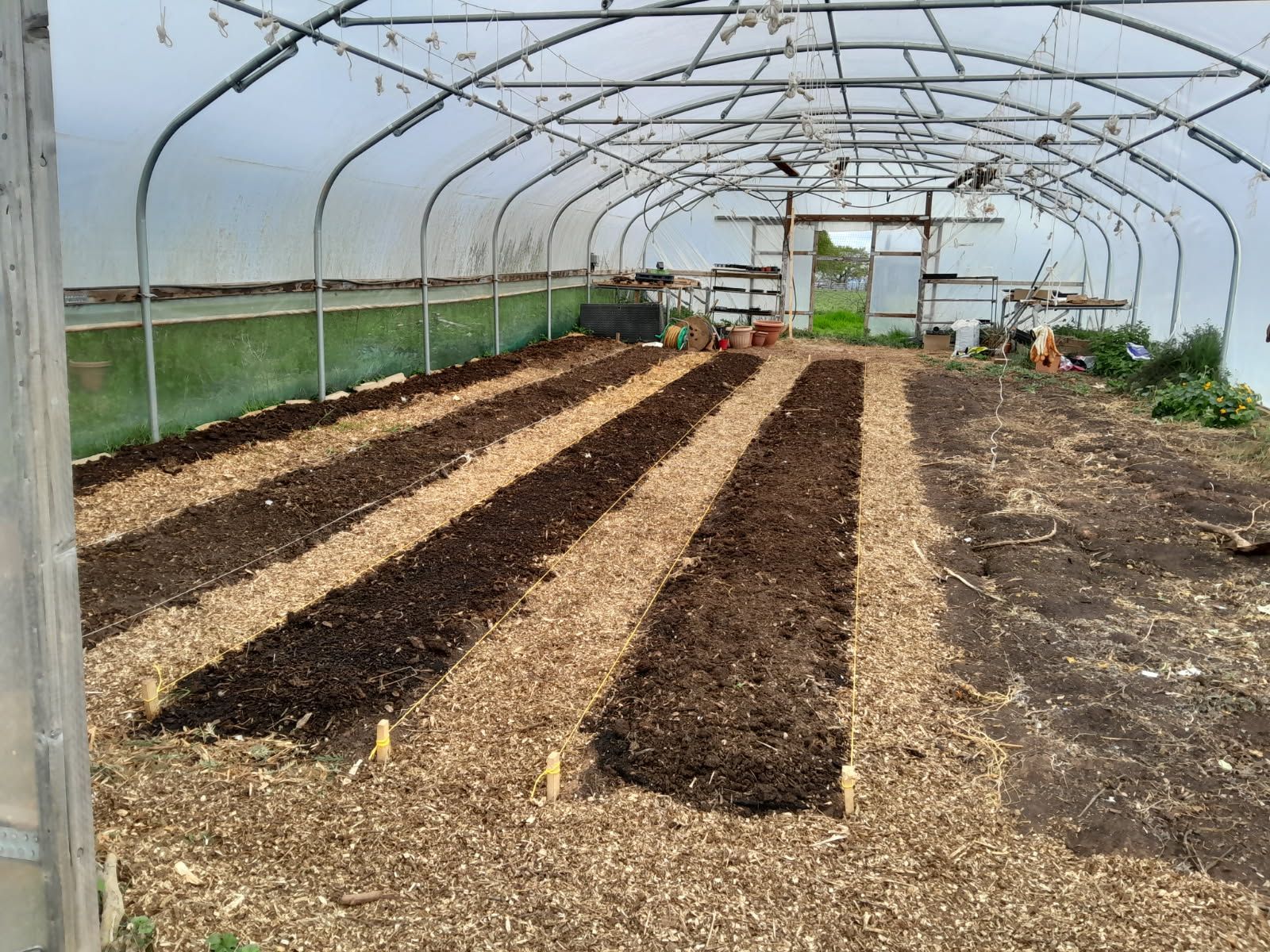 CABI Member Event on Saturday 10 May 2025 in Devon- GROWING PARTY AT GOFFINLAND COMMUNITY PERMACULTURE