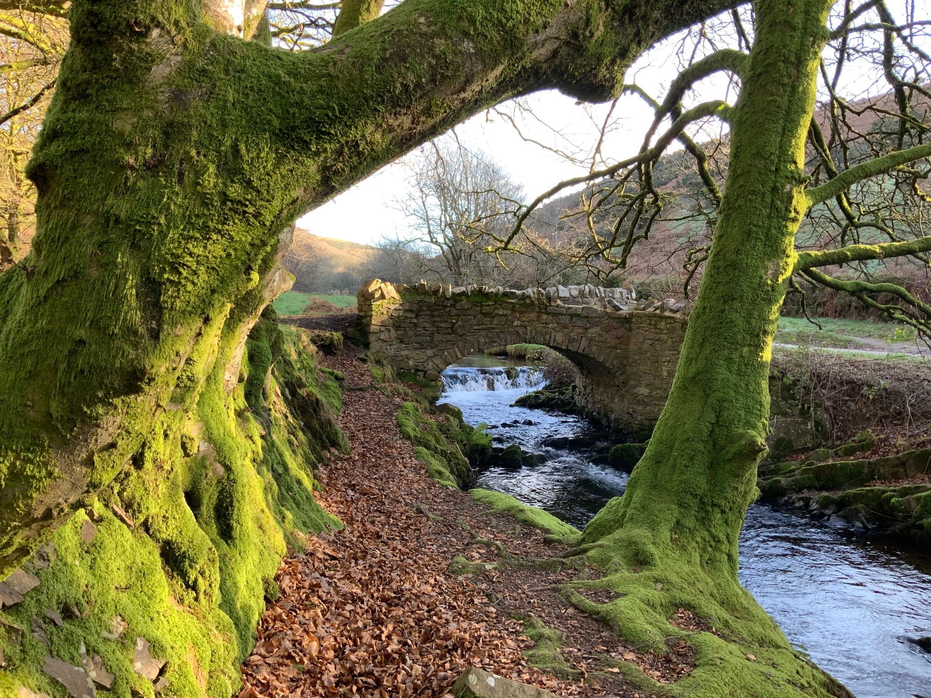 A post about Natural Law and Self Governance by Conrad Born