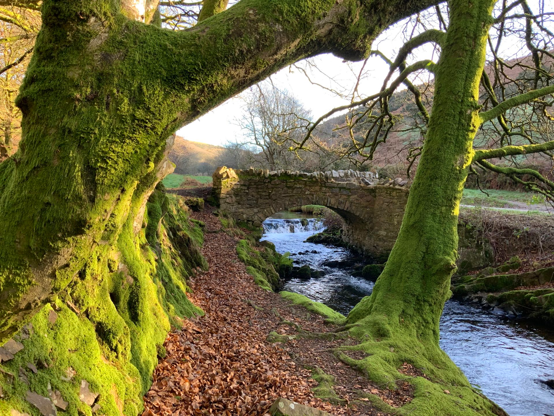 Guided by Natural Law by Conrad Born, Facilitator, Community Assembly of the British Isles