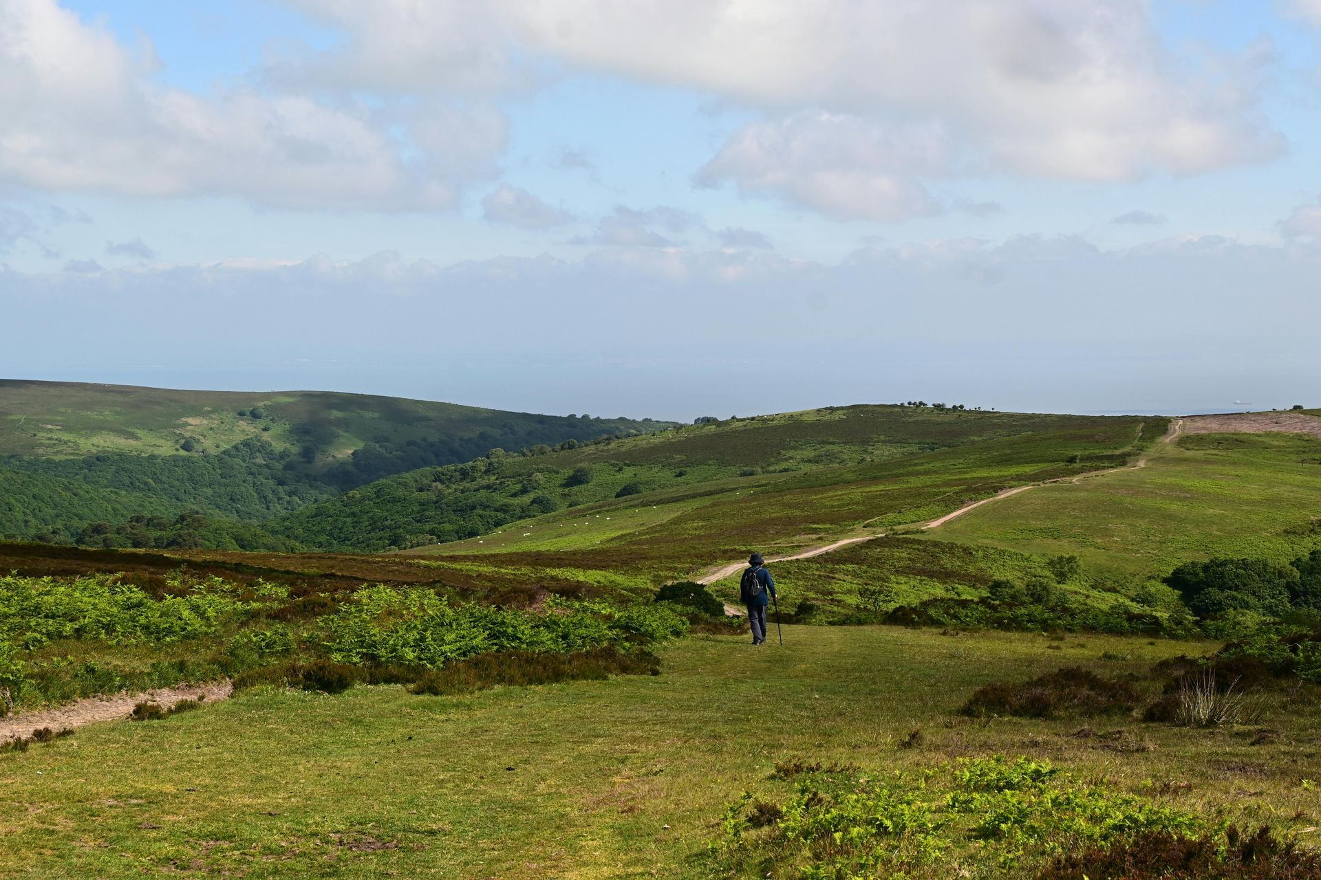 Guided by Natural Law by Conrad Born, Facilitator, Community Assembly of the British Isles