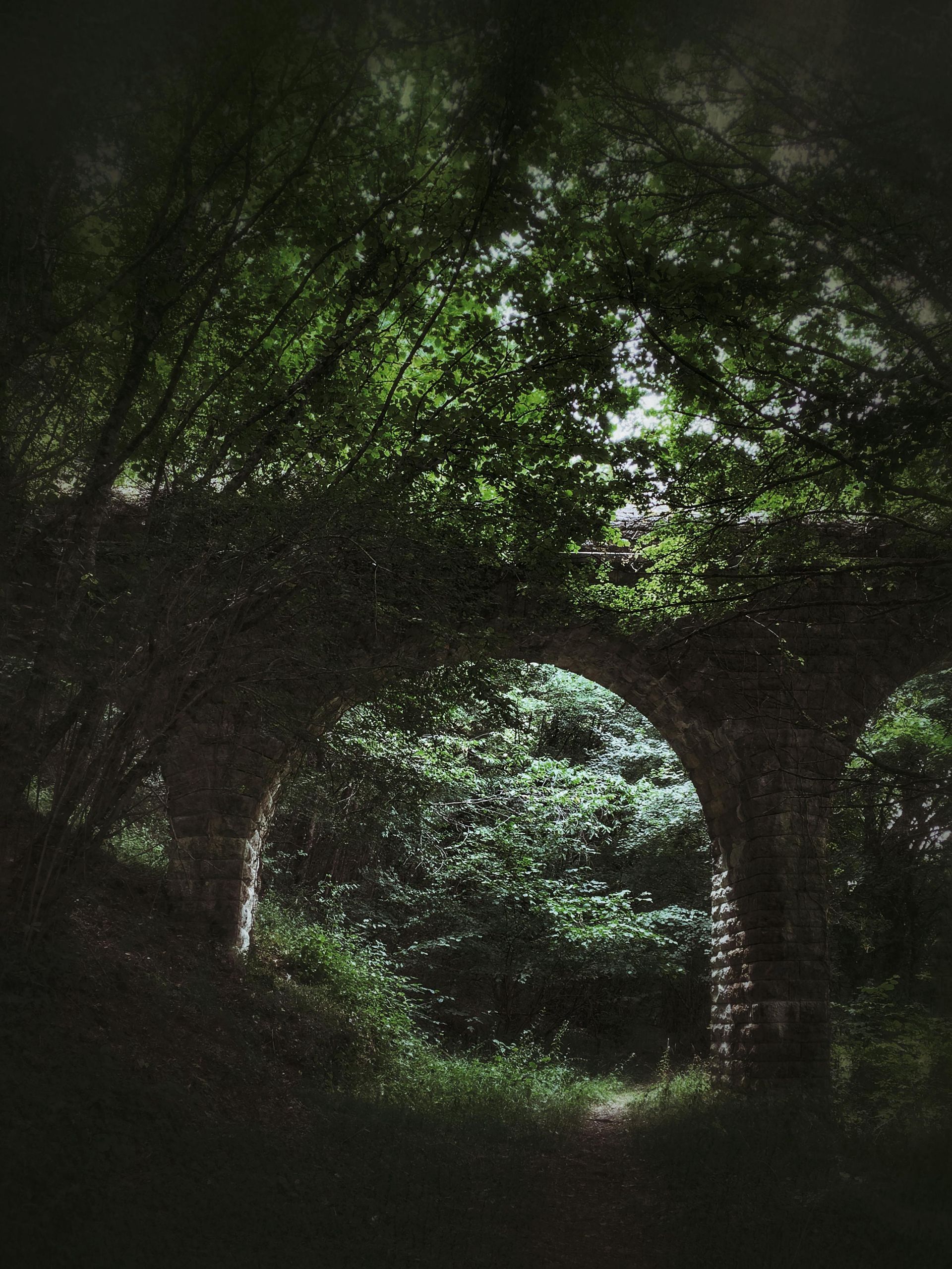 Midlands Assemblies, Community Assembly of the British Isles