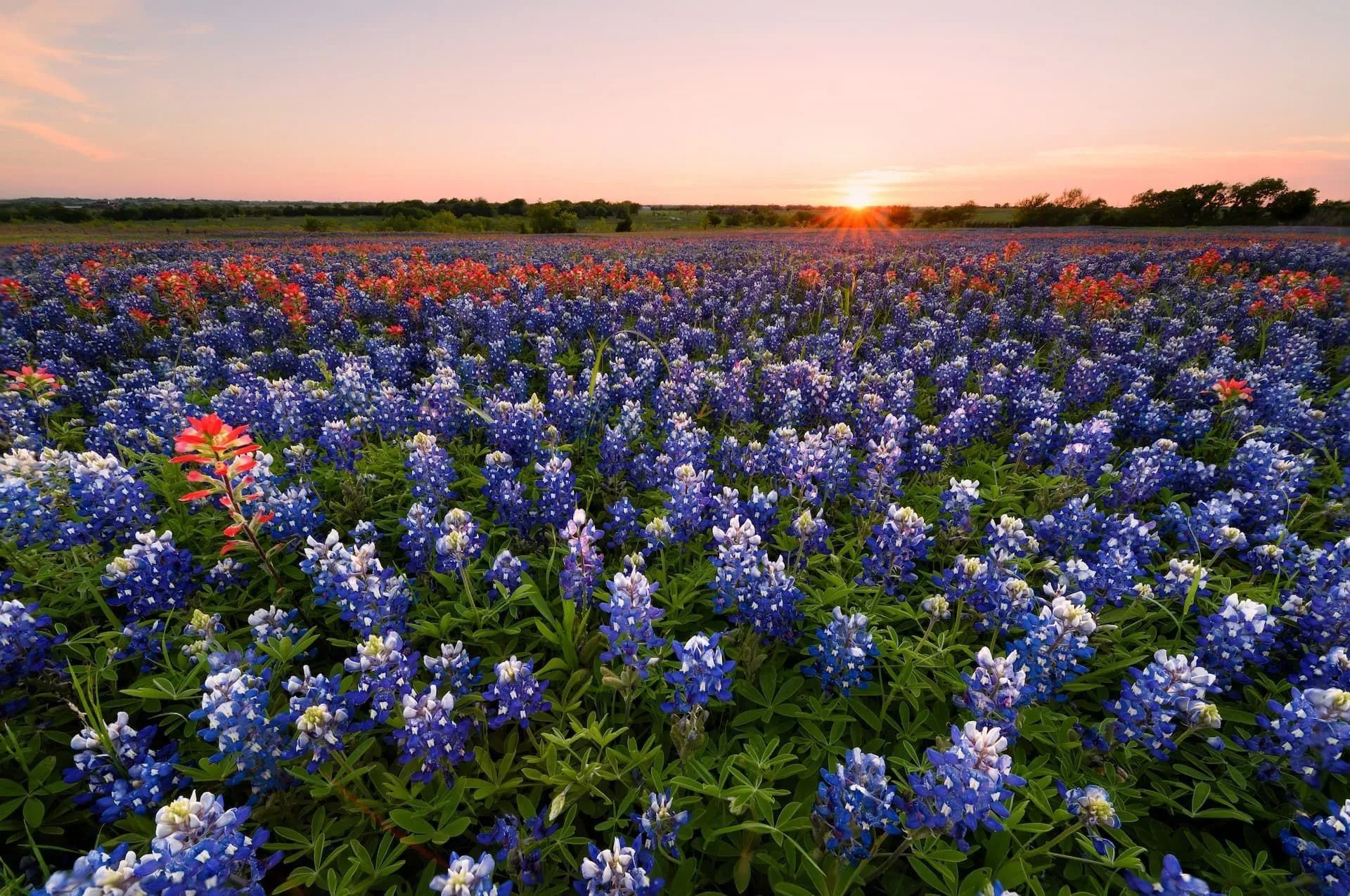 Obituaries in Bridge City, TX | Claybar Funeral Home