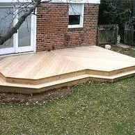 A dog is walking on a wooden deck under a pergola.