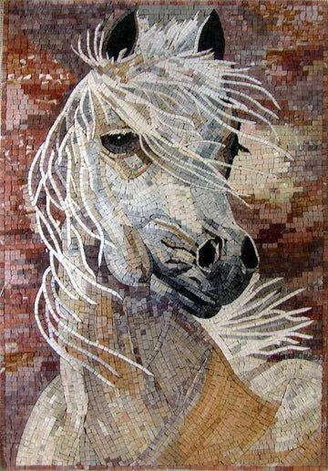 beautiful white horse
