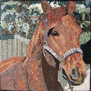 beautiful brown horse head
