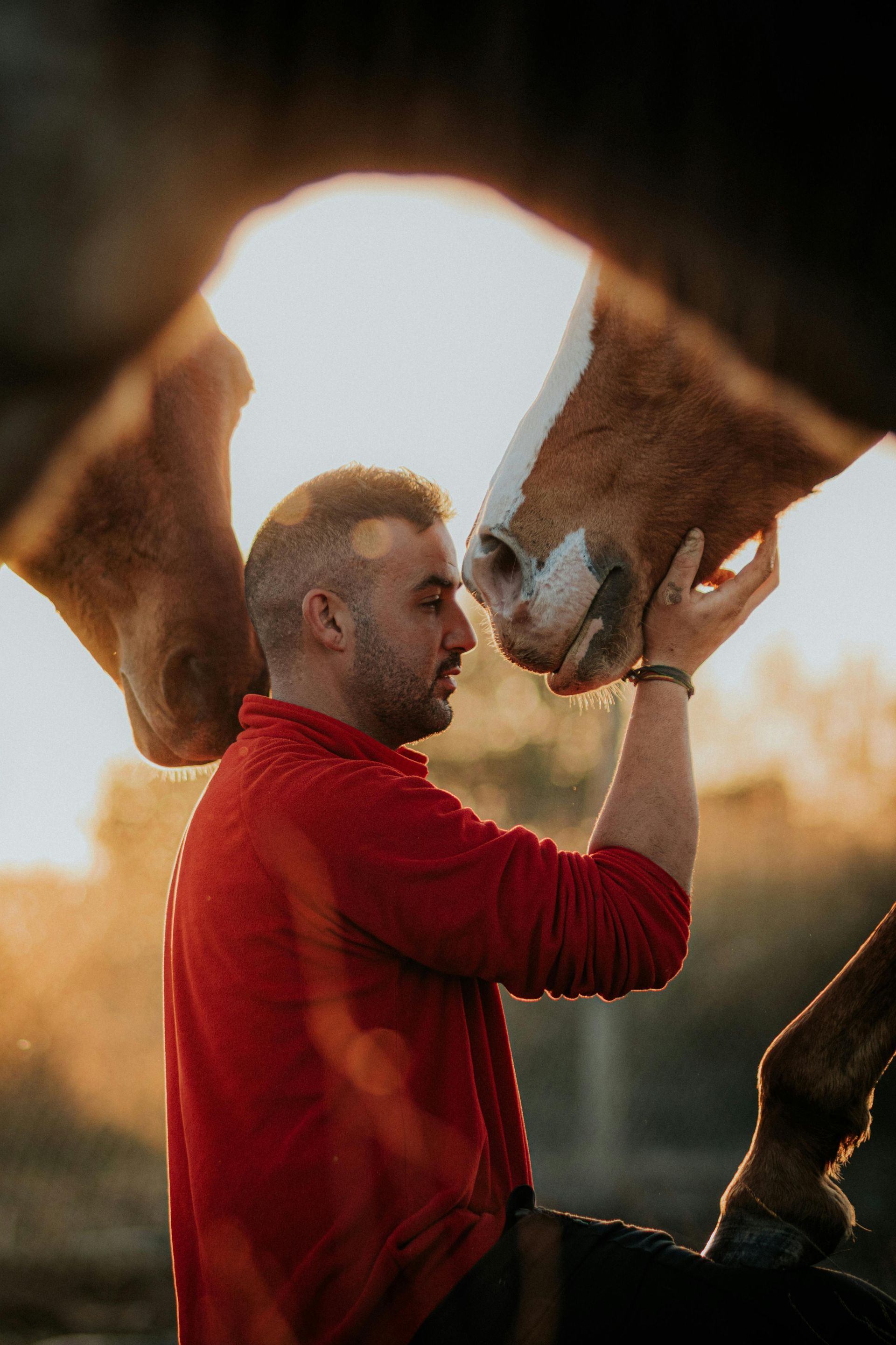 man hugging her horse