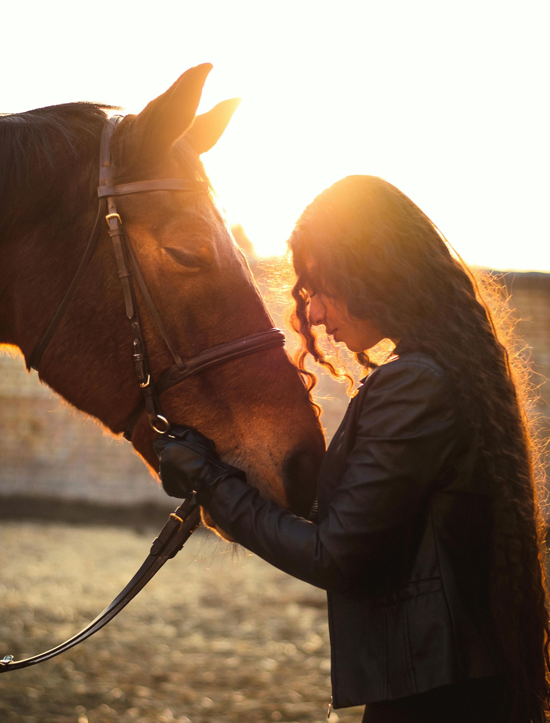 lady and horse at sunset
