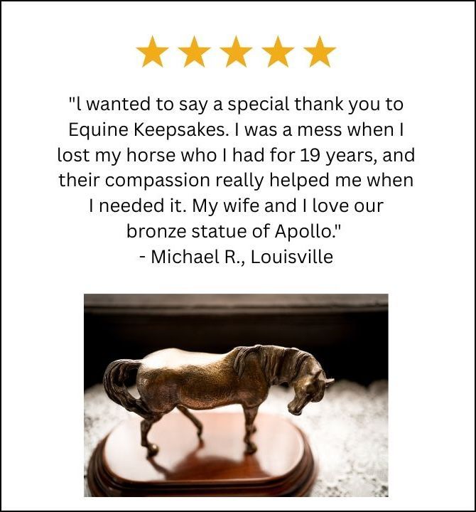 review bronze horse statue
