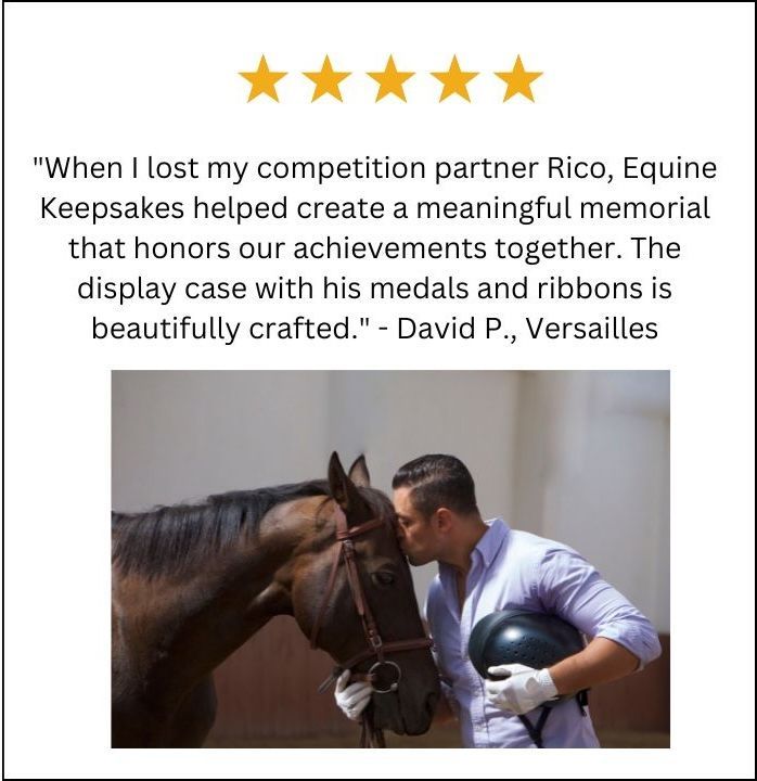 review ribbon display case
