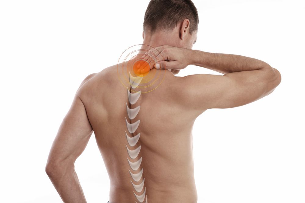 Man Touching Neck, Back View, with Spine Illustration Highlighted — My Chiropractor Mackay City in Proserpine, QLD