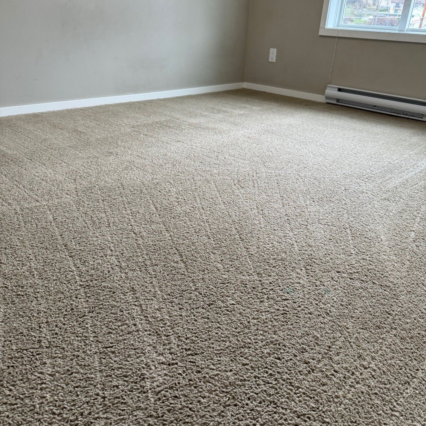 Residential and Commercial Carpet Cleaning