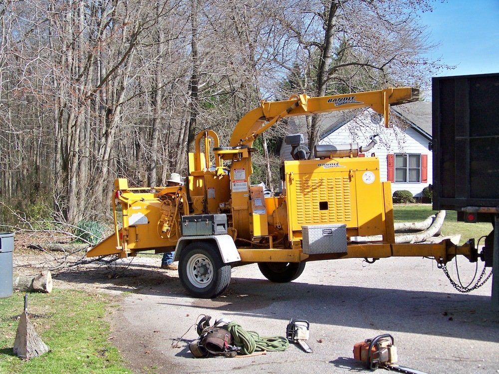 tree cutter and tree services in Wake Forest, NC