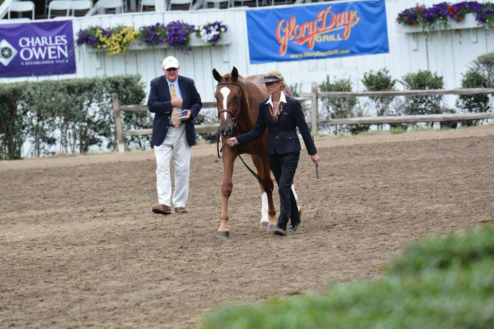 tievoli farm inc memories gallery