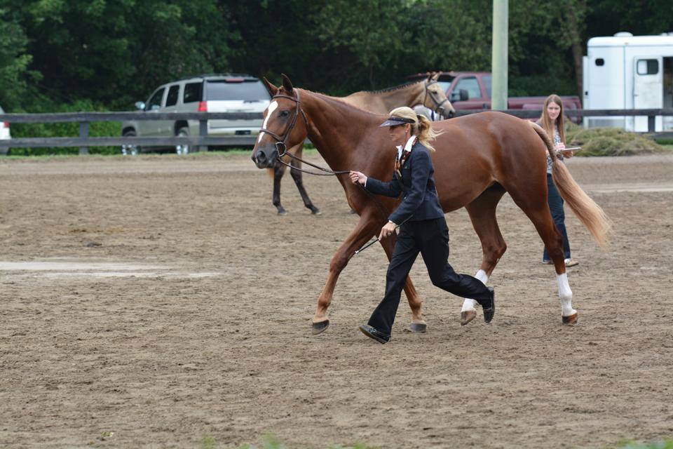 tievoli farm inc memories gallery