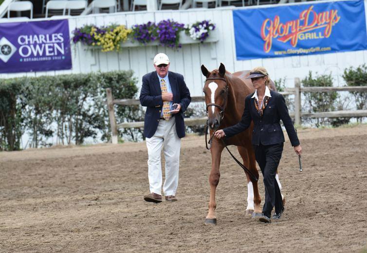 tievoli farm inc memories gallery