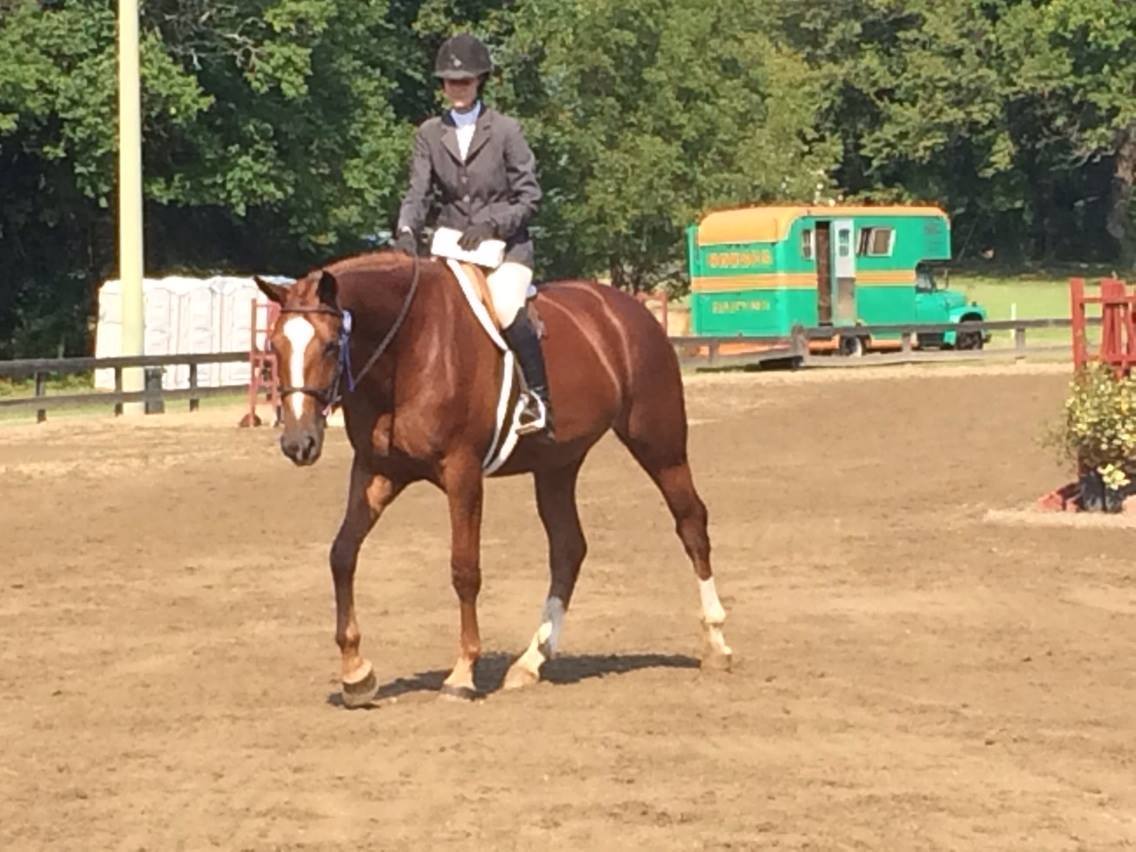 tievoli farm inc memories gallery