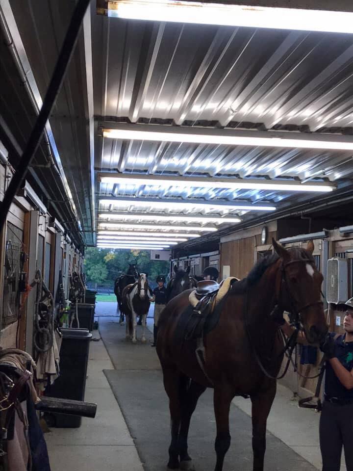 tievoli farm inc memories gallery