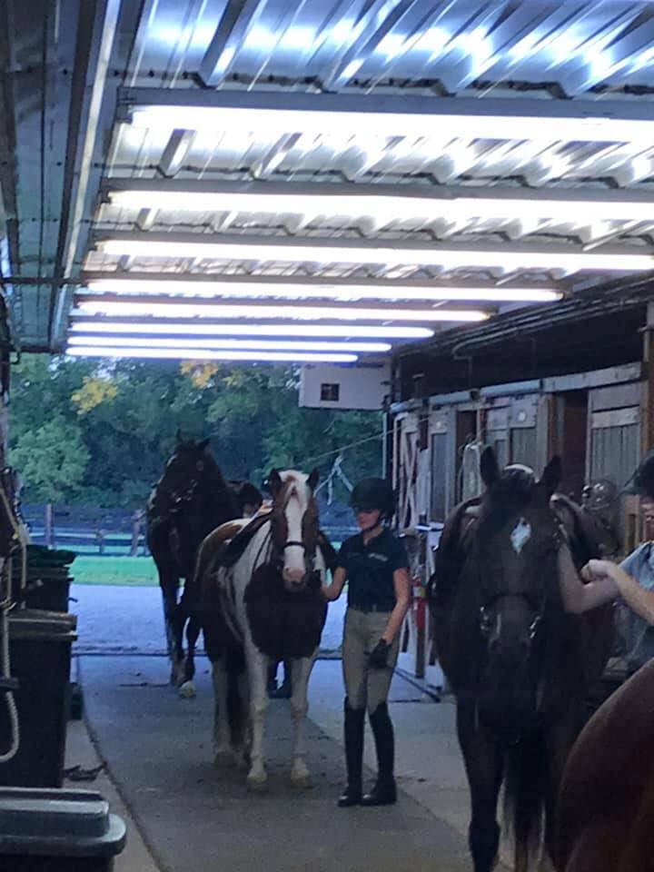 tievoli farm inc memories gallery