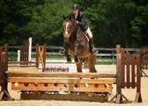 tievoli farm inc andy and felix