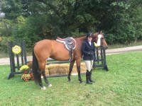 tievoli farm inc amanda and lucy