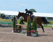 tievoli farm inc jenny and libby