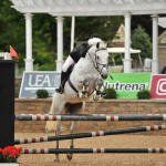 tievoli farm inc jessica and corona