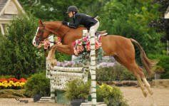 tievoli farm inc katie and cisco