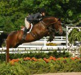 tievoli farm inc kristin and quinn