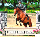 tievoli farm inc jennifer and wills