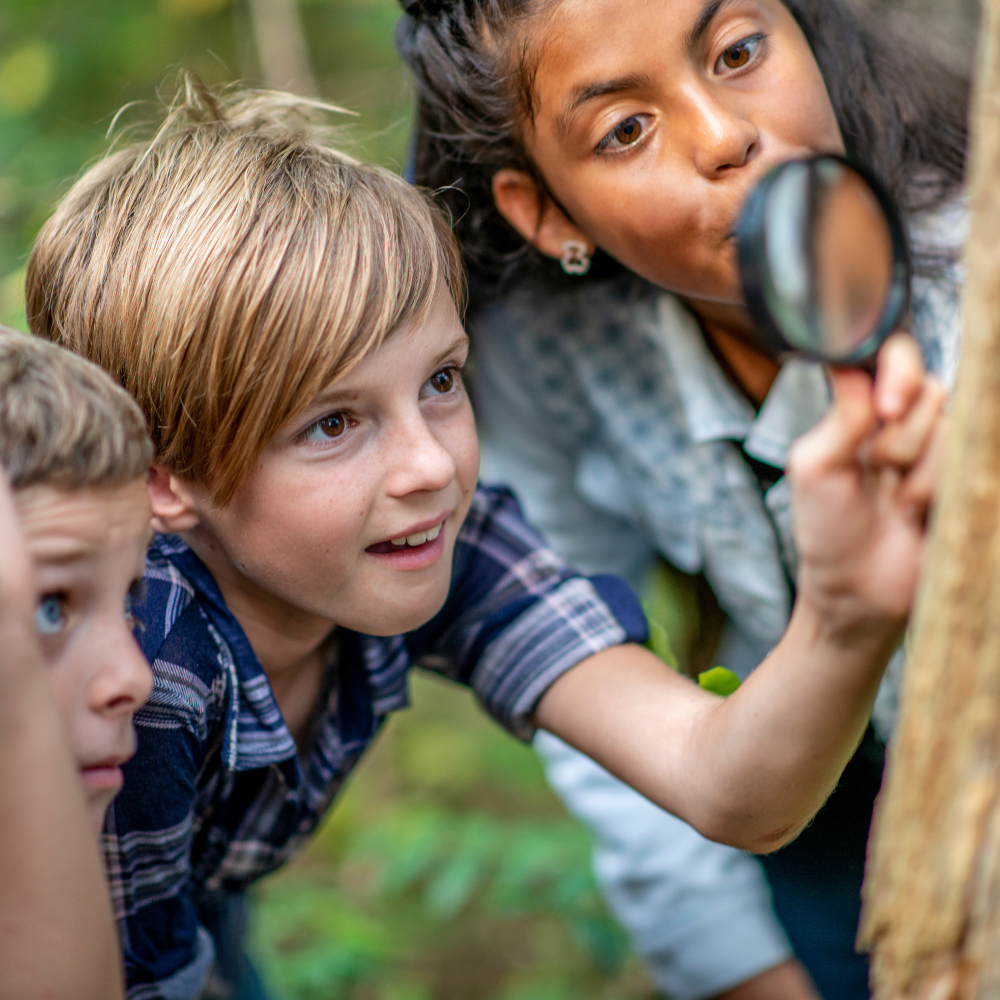A group of children are looking at a tree with a magnifying glass.