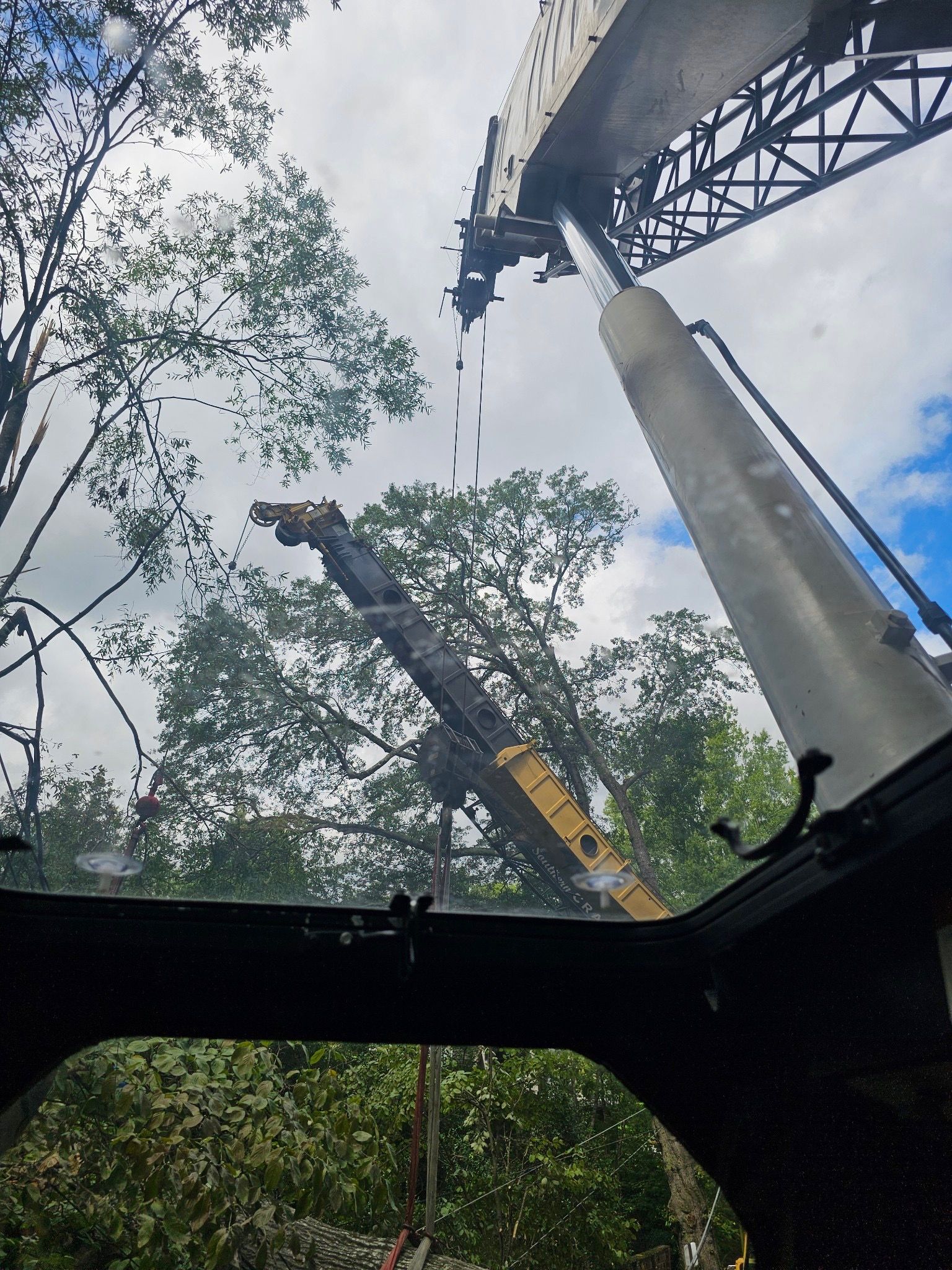 A crane is being used to remove a tree from the ground