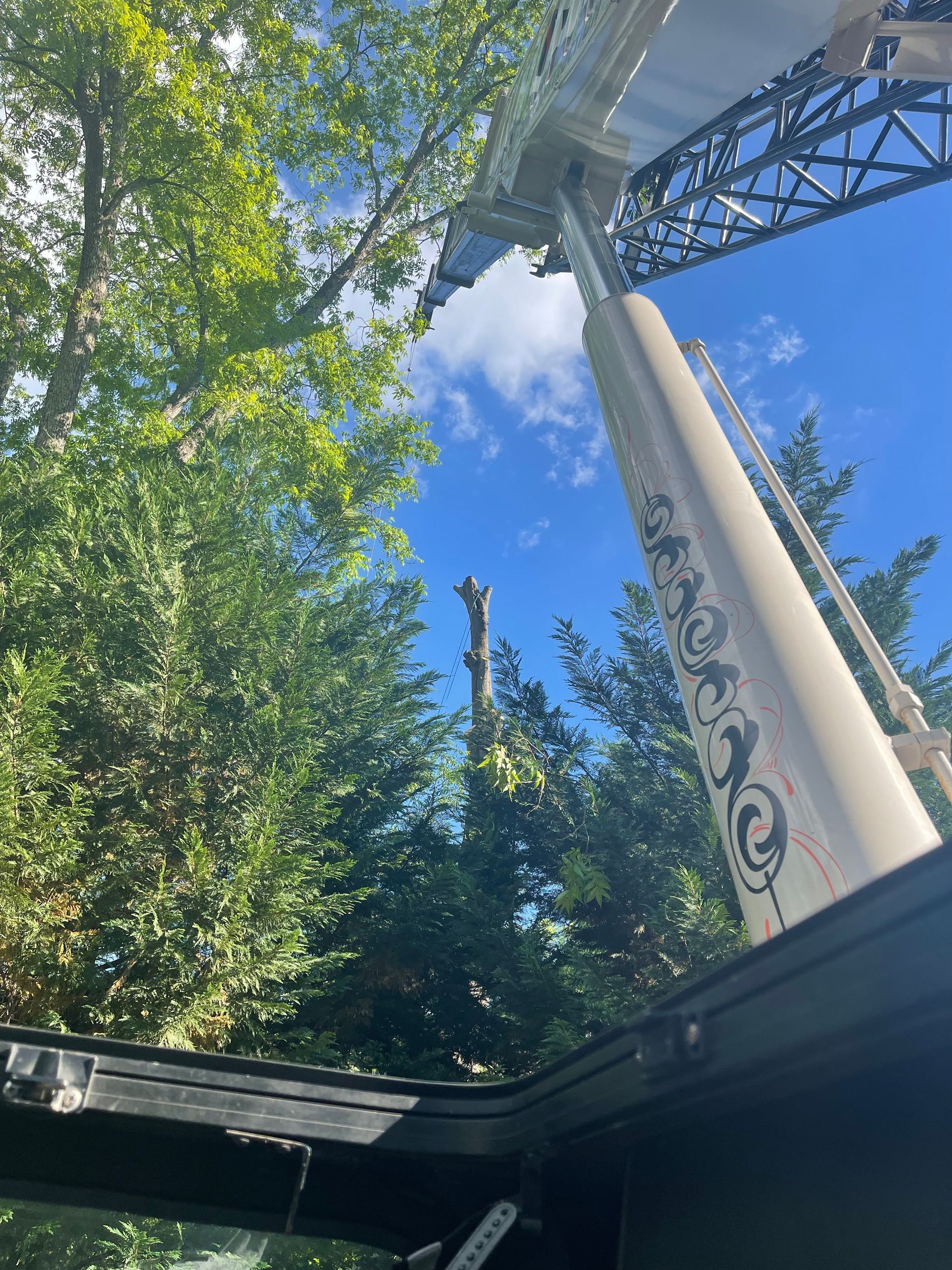 A car with a sunroof open and trees in the background.