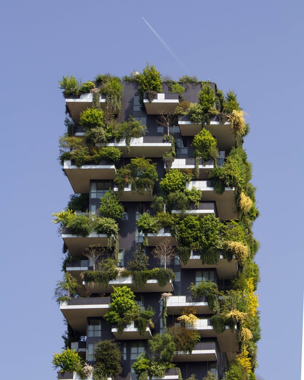 tall building with plants