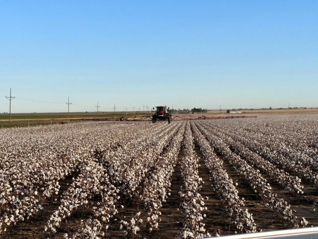 A tractor is plowing a large cotton field