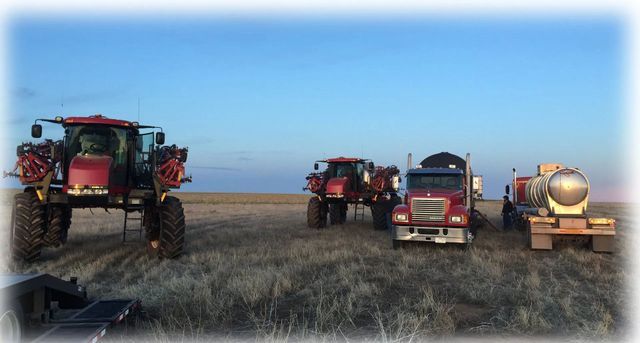 A group of tractors and trucks are parked in a field.