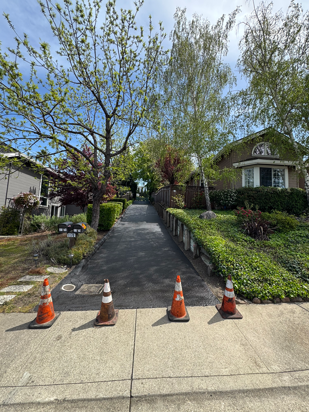 A row of orange and white traffic cones are on the sidewalk in front of a house.