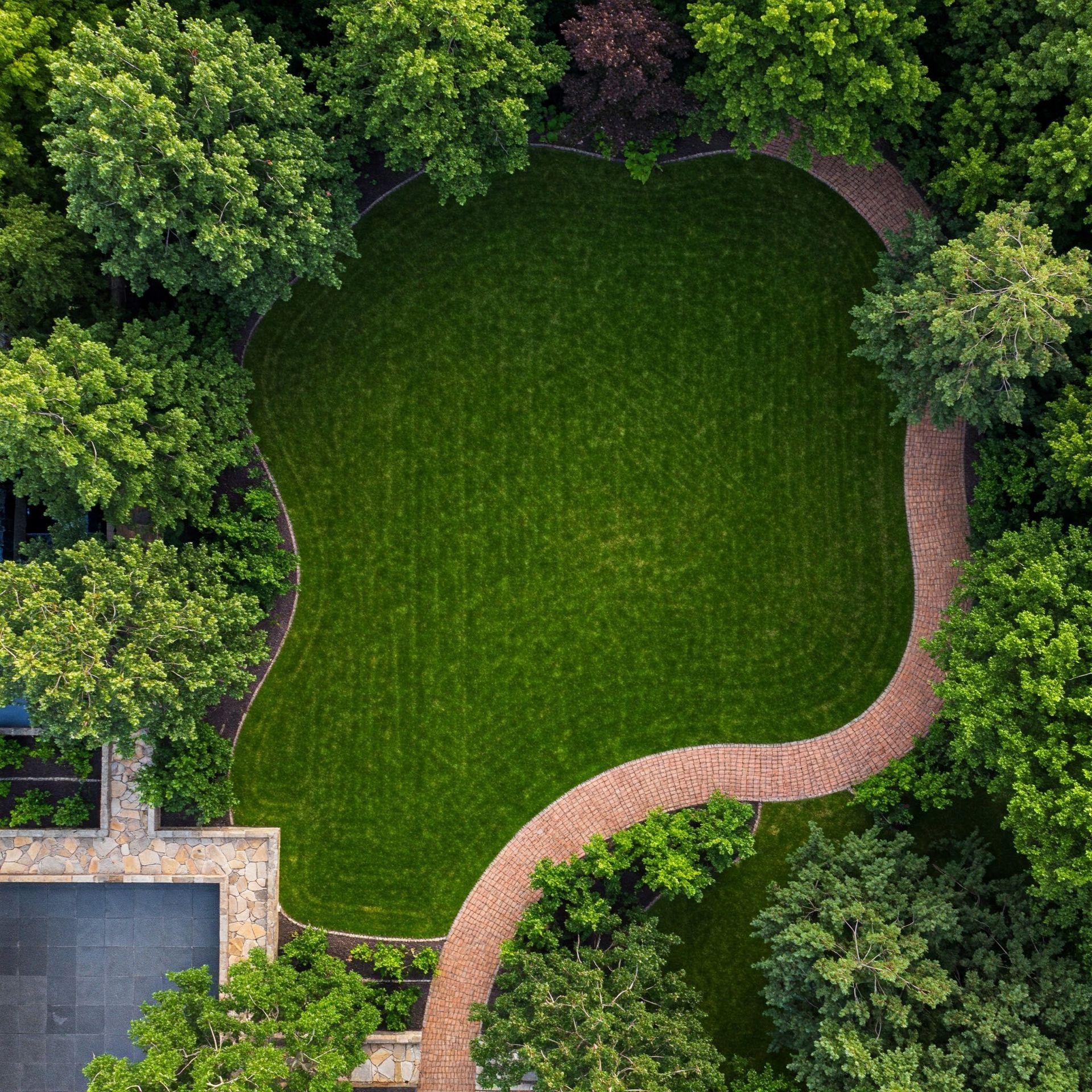 Residential backyard after maintenance