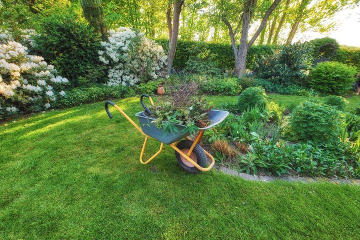 Residential backyard makeover