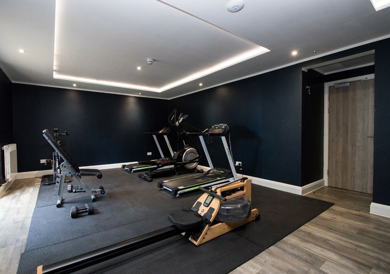 A gym with a row of treadmills and a rowing machine.