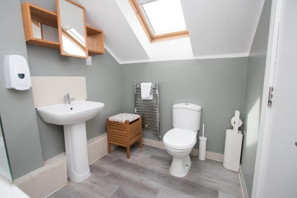 A bathroom with a toilet , sink , mirror and skylight.