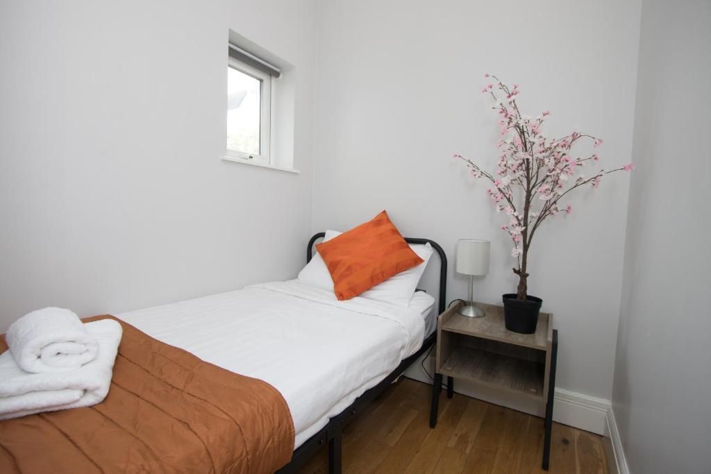 A bedroom with a single bed , nightstand , lamp and a potted plant.