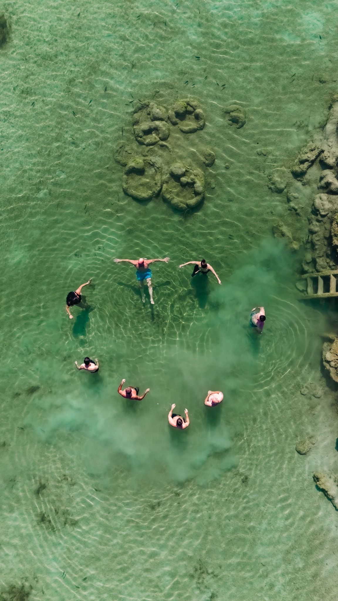Una vista aérea de un grupo de personas flotando en el océano.