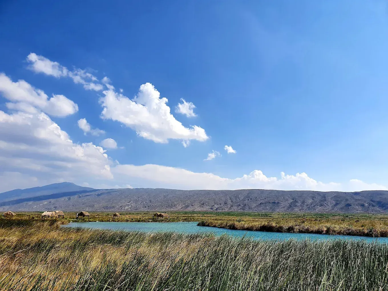 Un río corre por un campo de hierba con montañas al fondo.