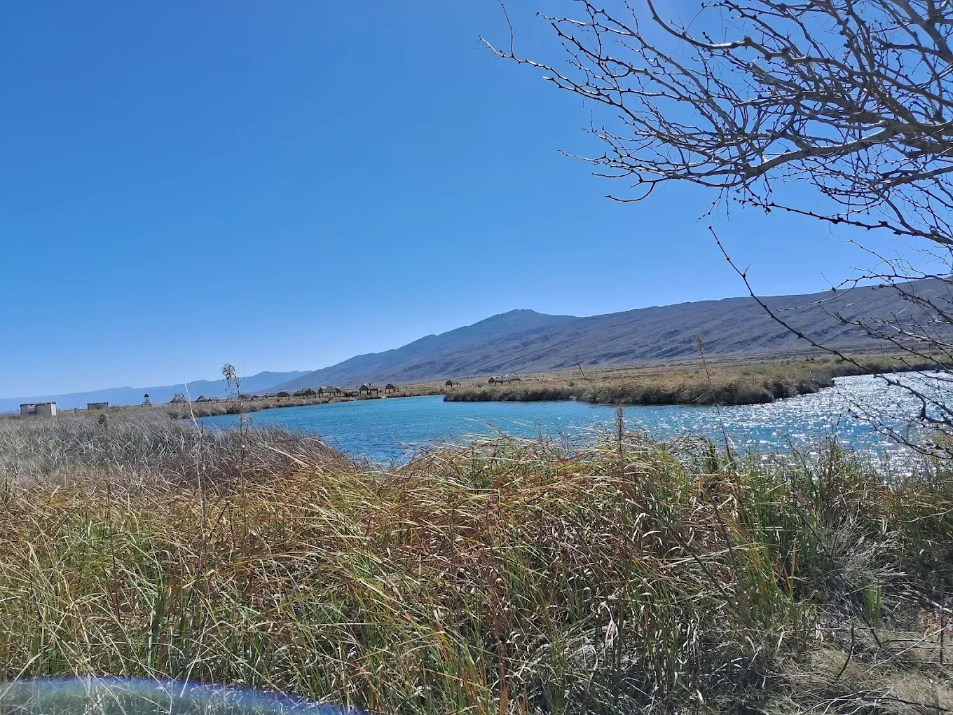 Un lago con montañas al fondo y un árbol en primer plano.